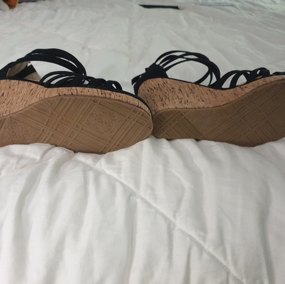 Cinderella of Boston 5W - Picture 3 of 5